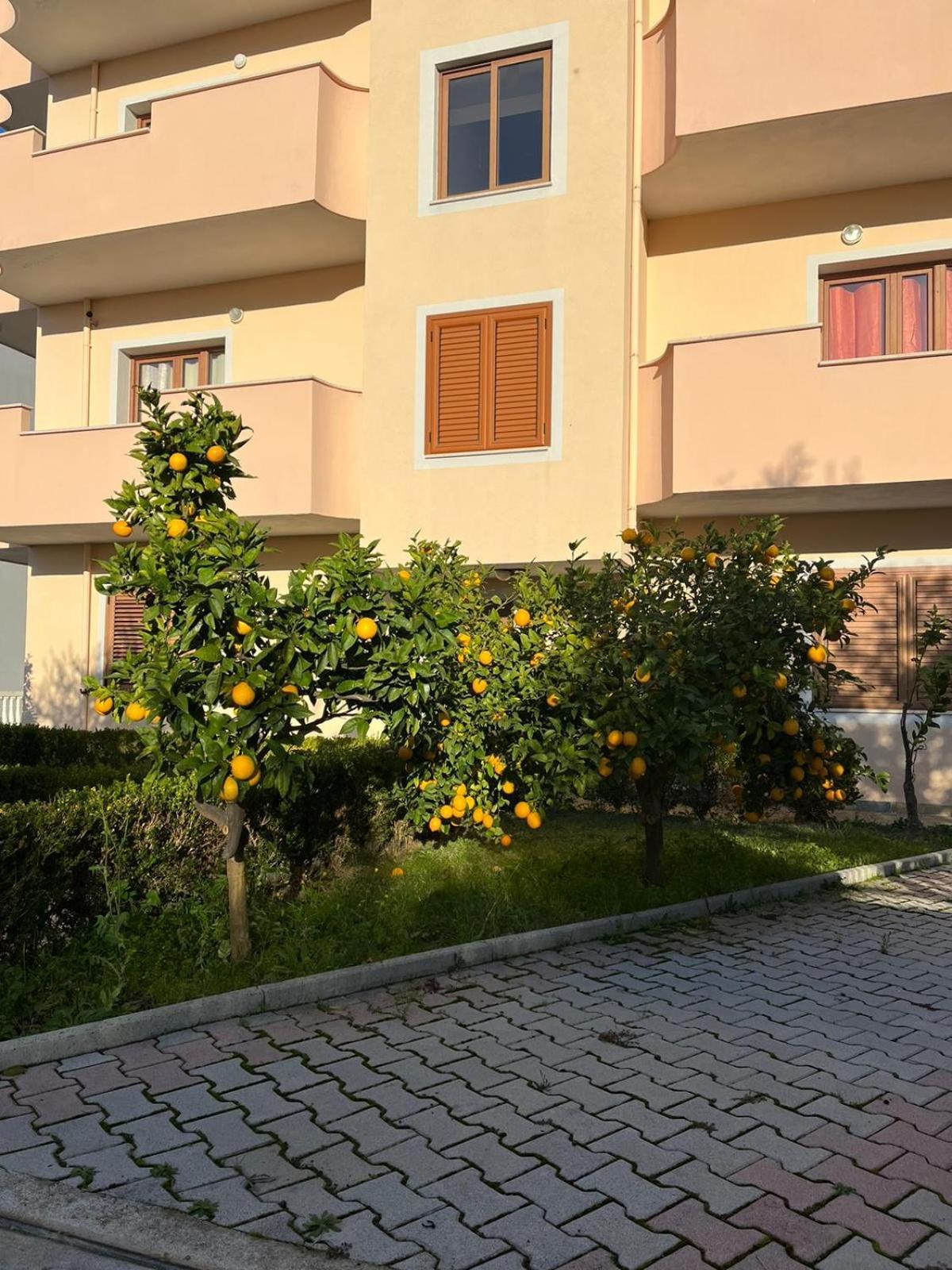 Villa Dei Limoni Škalngur Dış mekan fotoğraf