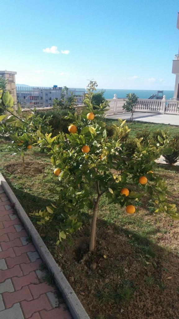 Villa Dei Limoni Škalngur Dış mekan fotoğraf