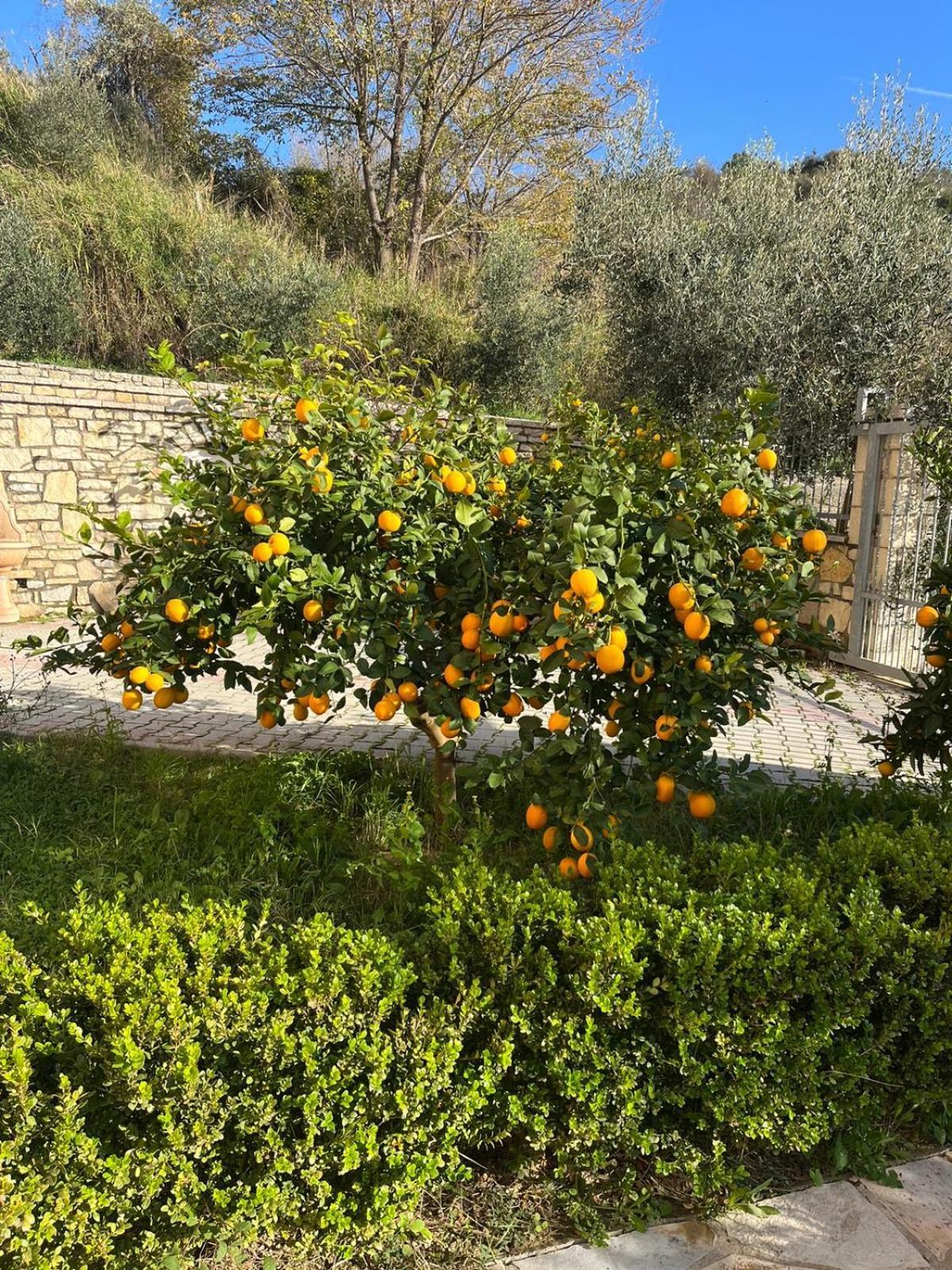Villa Dei Limoni Škalngur Dış mekan fotoğraf